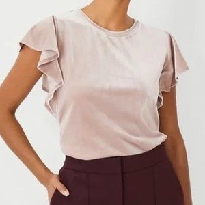 Ann Taylor Velvet Flutter Sleeve Top